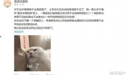 娱乐吃瓜酱发疯似学习,揭秘娱乐圈幕后真相