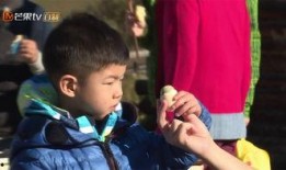 爆料爸爸的视频,亲子互动背后的温馨瞬间