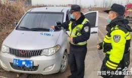 新乐交警最新爆料,揭秘交通违法行为背后的真相