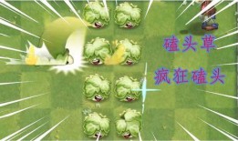 植物小表弟官方爆料视频,揭秘植物世界的神奇奥秘