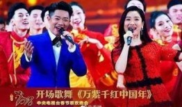 卫视春晚在线观看,精彩瞬间不容错过！