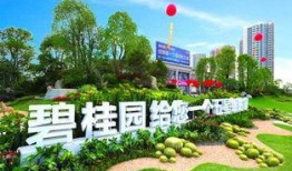 砀山碧桂园爆料最新消息,揭秘项目进展与未来规划