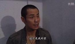 怒火街头全集在线观看,激情燃烧的正义之战