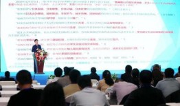 最美萌新爆料视频大全,萌新集结！盘点最美萌新爆料视频大全