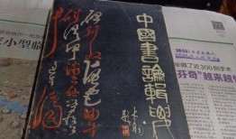 黄琴夜宵店爆料视频大全,视频大全揭秘夜宵江湖风云