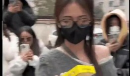 爆料八卦有理吃瓜无罪免费的,有理吃瓜无罪，免费畅享八卦盛宴