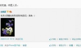 圈内爆料姚晨是真的吗,圈内爆料真相大白