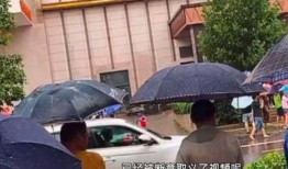 成都公园爆料事件真相视频,还原背后惊人内幕