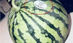 潍坊吃瓜网红有哪些人,揭秘网络红人的多彩人生