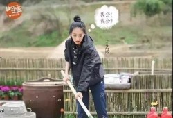 好朋友爆料黄磊视频,好朋友爆料背后的故事