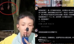 小鬼直播间爆料视频大全,揭秘幕后故事与精彩瞬间