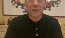 张悦爆料撞脸事件视频,网友热议相似度高达90%