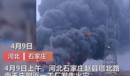 湘西现场爆料事件视频播放,真相与争议交织的瞬间