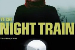 刘丹夜车在线观看,揭秘都市夜生活背后的情感纠葛