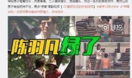 出轨爆料新闻视频,揭秘视频曝光背后的真相与争议