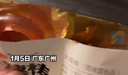 卫龙爆料视频,独家爆料带你走进辣条背后的故事