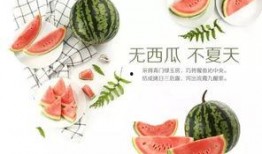 潍坊吃瓜网红有哪些人,揭秘网络红人的多彩人生