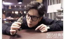 娱乐圈爆料君薛之谦是谁,揭秘华语乐坛“段子手”的传奇人生