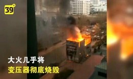 半岛晨报视频爆料,揭秘事件背后惊人真相