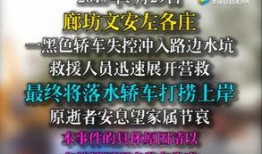 文安爆料视频大全,热点事件背后的真相与反思