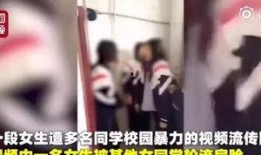 爆料蓝台遇害视频在线观看,在线观看背后的惊悚真相