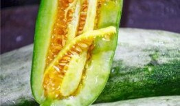 网红吃瓜有什么好处,娱乐大众的甜蜜陷阱