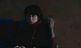 刘丹夜车在线观看,揭秘都市夜生活背后的情感纠葛