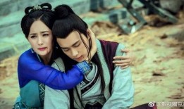 天涯爆料老紫薇视频大全,老紫薇视频大全背后的真相与争议