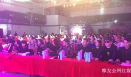 网红新闻发布会爆料,揭秘幕后故事与惊人内幕