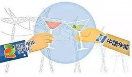 国家电投爆料新闻网站,揭秘能源巨头的发展战略与未来布局