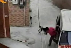 最新偷鱼爆料事件新闻,揭秘网络爆料背后的真相与争议