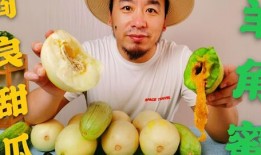 网红瓜去哪里吃比较好,揭秘瓜界美食天堂