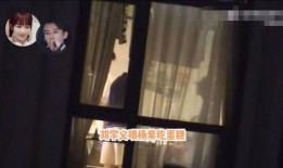 杨紫娱记爆料视频是真的吗,杨紫娱记爆料视频真实性揭秘