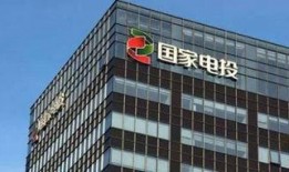 国家电投爆料新闻网站,揭秘能源巨头的发展战略与未来布局