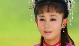 天涯爆料老紫薇视频大全,老紫薇视频大全背后的真相与争议