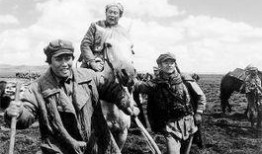 电视剧长征在线观看,穿越烽火岁月，共筑红色梦想