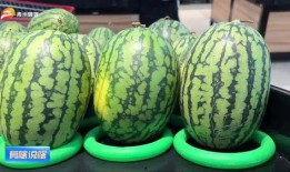 潍坊吃瓜网红有哪些人,揭秘网络红人的多彩人生