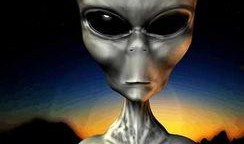 外星人火影爆料视频完整版,完整版视频深度解析