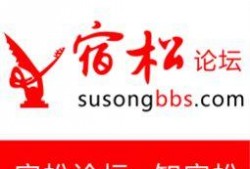 2019宿松爆料新闻,真相与争议交织的年度事件盘点
