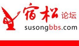 2019宿松爆料新闻,真相与争议交织的年度事件盘点