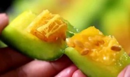 网红瓜去哪里吃比较好,揭秘瓜界美食天堂