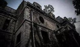 81号凶宅电影在线观看,惊悚揭秘，在线惊悚之旅