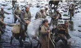 电视剧长征在线观看,穿越烽火岁月，共筑红色梦想