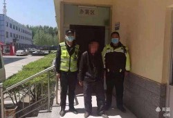 新乐交警最新爆料,揭秘交通违法行为背后的真相
