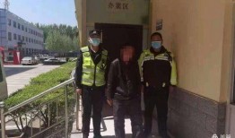新乐交警最新爆料,揭秘交通违法行为背后的真相