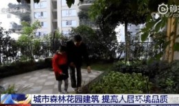 成都公园爆料事件真相视频,还原背后惊人内幕
