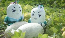 晴天小羊有多少网红吃瓜,揭秘网红吃瓜背后的故事