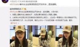 出轨爆料新闻视频,揭秘视频曝光背后的真相与争议