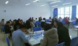 成都市职业新闻爆料人,揭秘新闻爆料背后的故事