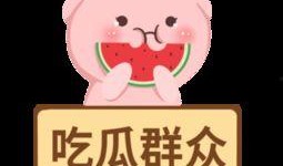 吃瓜群众全集免费下载,揭秘娱乐圈幕后真相，免费下载大揭秘